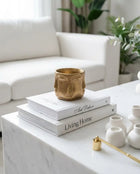 Adler Mini Gold Sculptural Face Planter Decorative Polyester Succulent and Flower Pot Dea'rt İstanbul