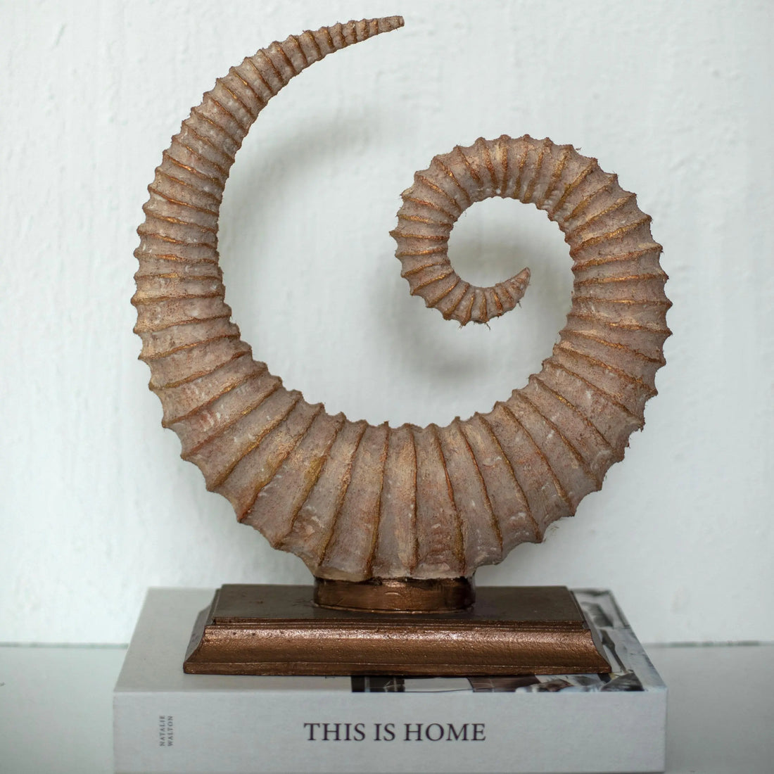 Fosilis Terra Spiral Fossil Sculpture Dea'rt İstanbul