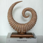 Fosilis Terra Spiral Fossil Sculpture Dea'rt İstanbul