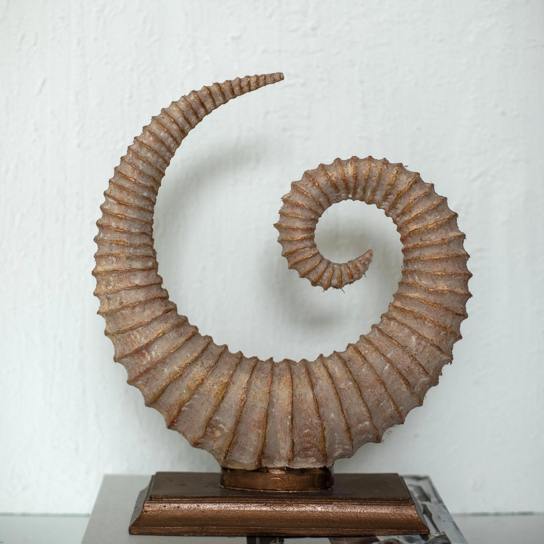 Fosilis Terra Spiral Fossil Sculpture Dea'rt İstanbul