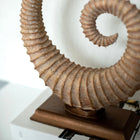 Fosilis Terra Spiral Fossil Sculpture Dea'rt İstanbul