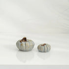 Hasat Aura Handmade Pumpkin Sculpture Sets Grey and Orange Dea'rt İstanbul