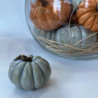 Hasat Aura Handmade Pumpkin Sculpture Sets Grey and Orange Dea'rt İstanbul