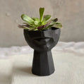 Sculptural Face Planter Black White Grey Decorative Polyester Succulent and Flower Pot Dea'rt İstanbul